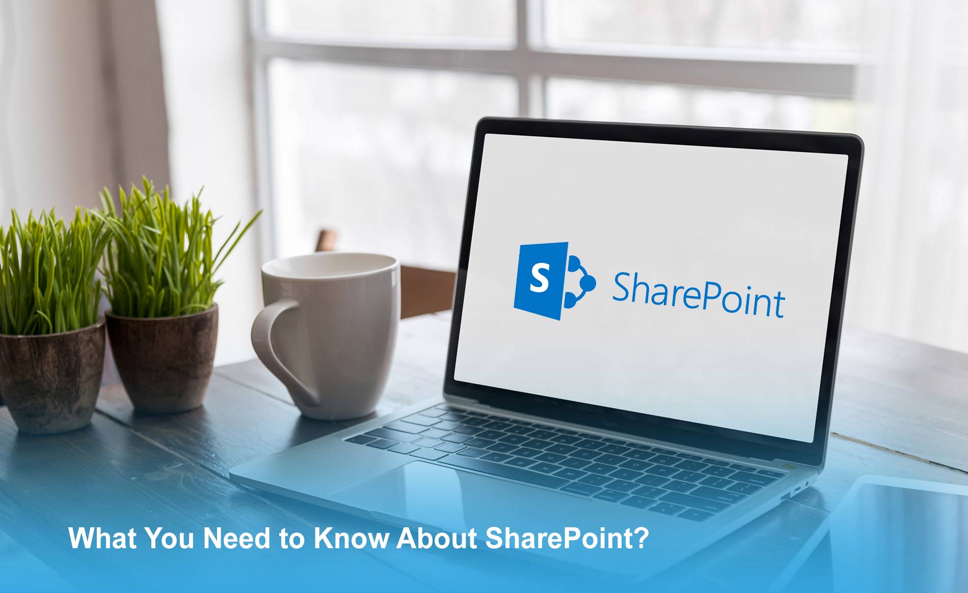 Sharepoint Mircosoft What You Need to Know About Microsoft SharePoint?