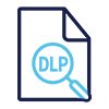 Data Loss Prevention (DLP) and Governance 