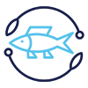 Aquaculture Solutions