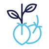 Seed-to-Sale Solutions
