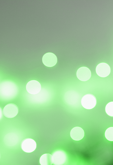 API Development & Integration Image