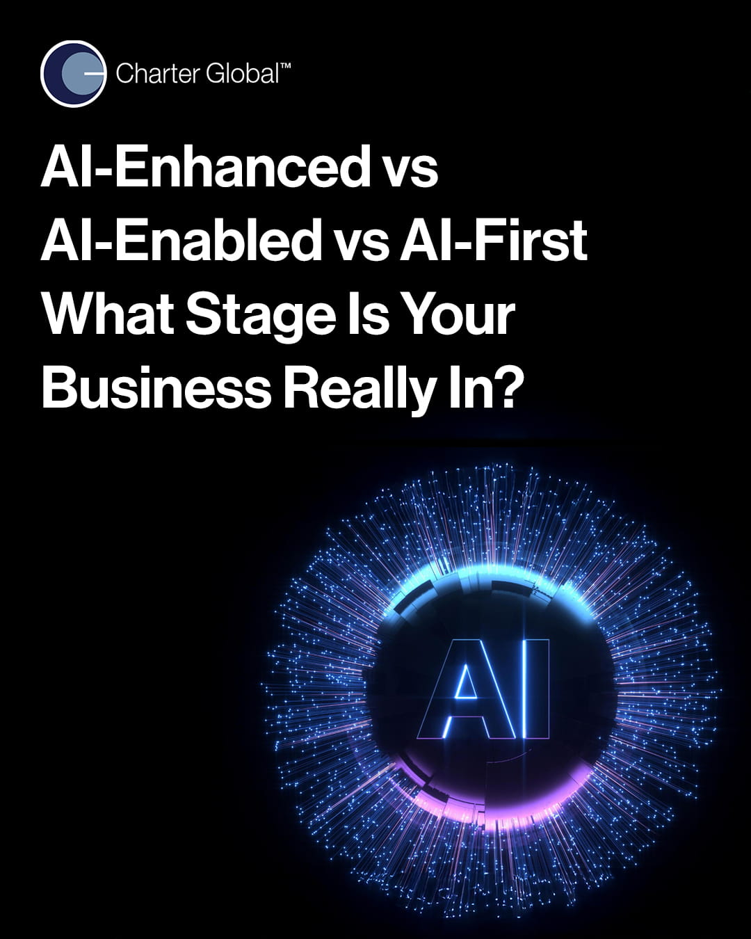 AI-Enhanced AI-Enabled and AI-First Companies - 01